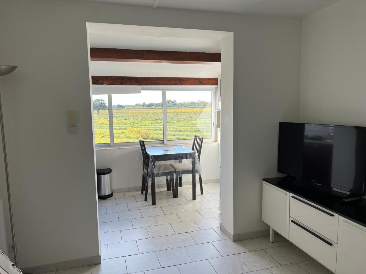 Joli Studio Tres Clair A Proximite Mer Pour 3 Personnes La Londe-les-Maures Extérieur photo