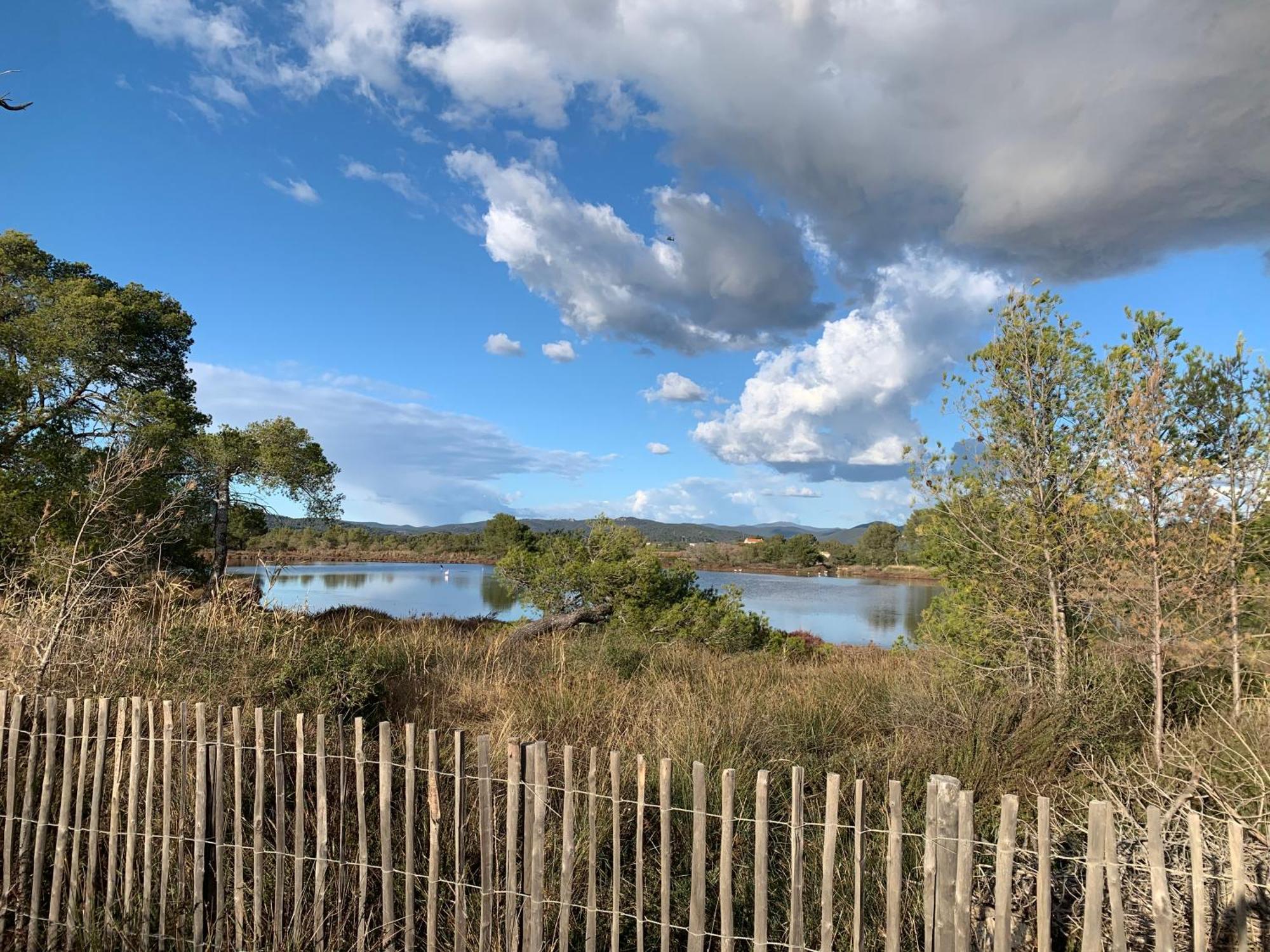 Joli Studio Tres Clair A Proximite Mer Pour 3 Personnes La Londe-les-Maures Extérieur photo