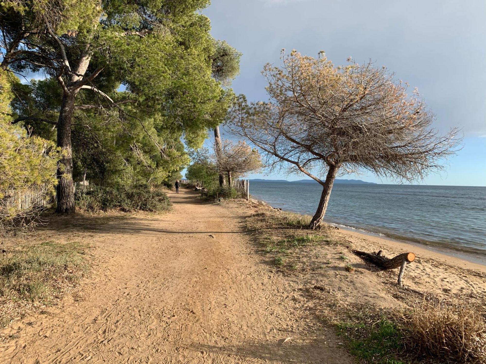 Joli Studio Tres Clair A Proximite Mer Pour 3 Personnes La Londe-les-Maures Extérieur photo